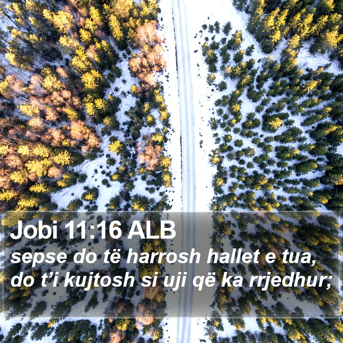 Jobi 11:16 ALB Bible Study