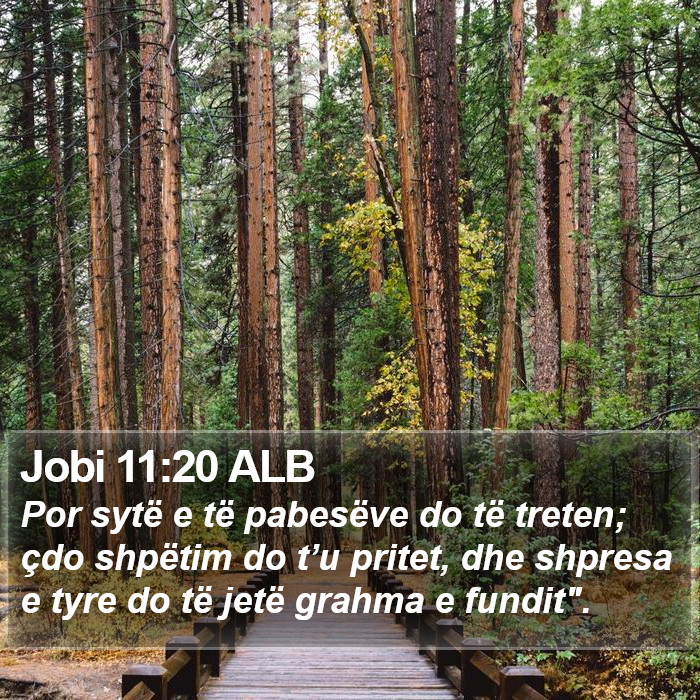 Jobi 11:20 ALB Bible Study