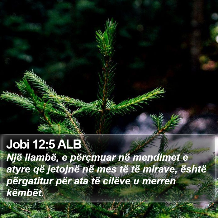 Jobi 12:5 ALB Bible Study