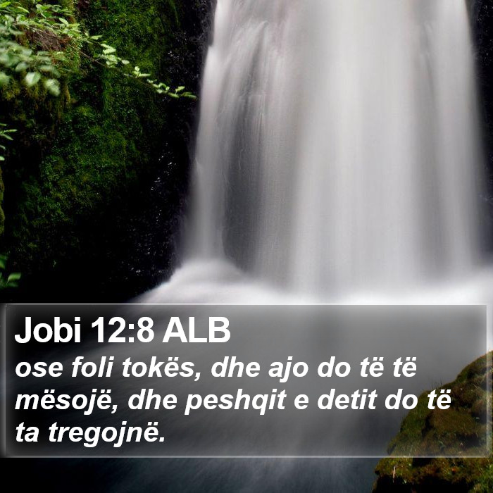 Jobi 12:8 ALB Bible Study