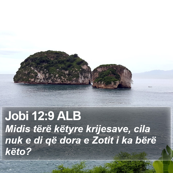 Jobi 12:9 ALB Bible Study