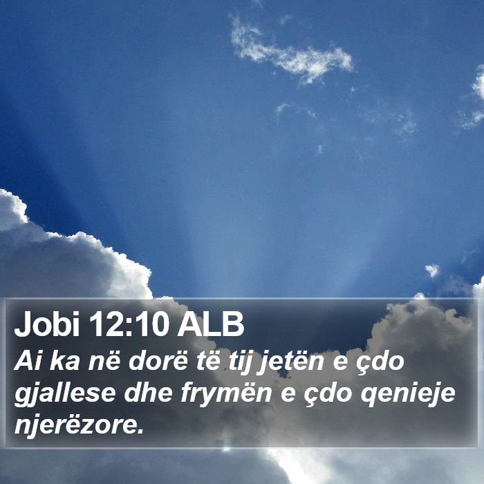 Jobi 12:10 ALB Bible Study