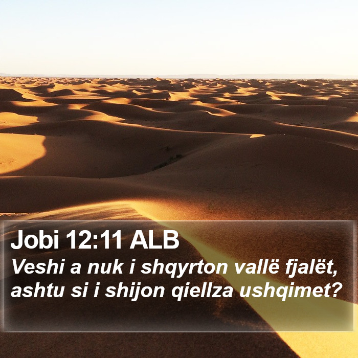 Jobi 12:11 ALB Bible Study