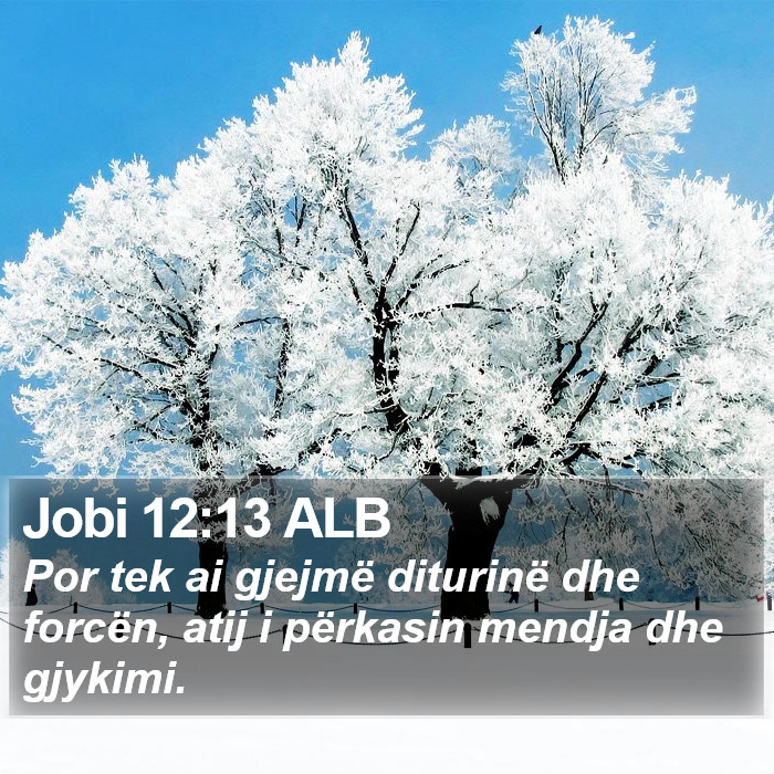 Jobi 12:13 ALB Bible Study