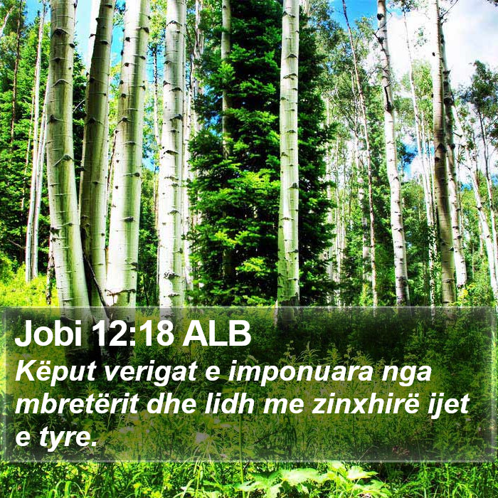 Jobi 12:18 ALB Bible Study