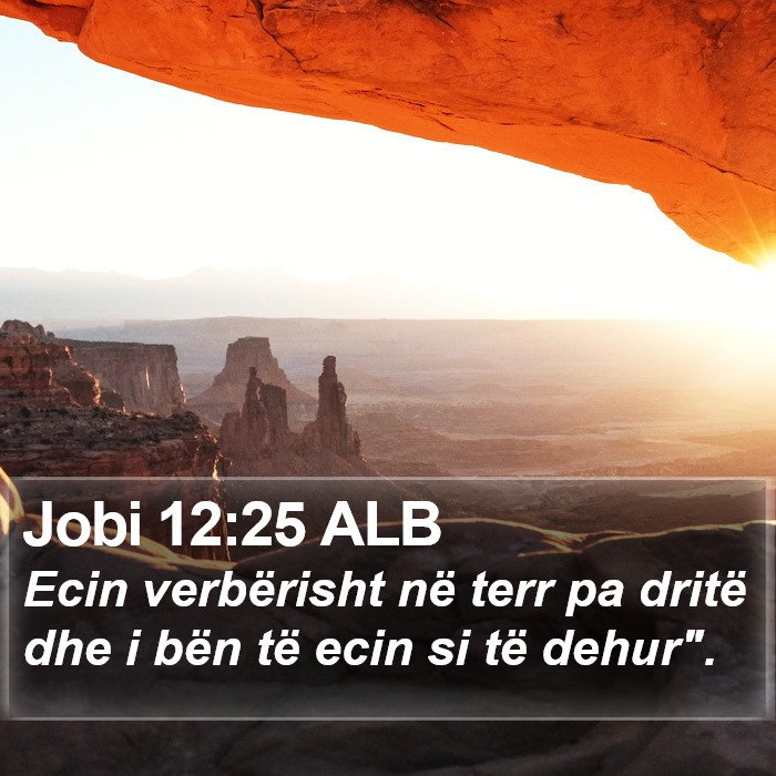 Jobi 12:25 ALB Bible Study