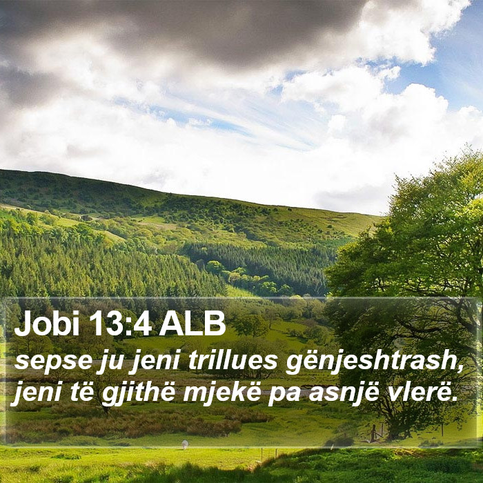 Jobi 13:4 ALB Bible Study