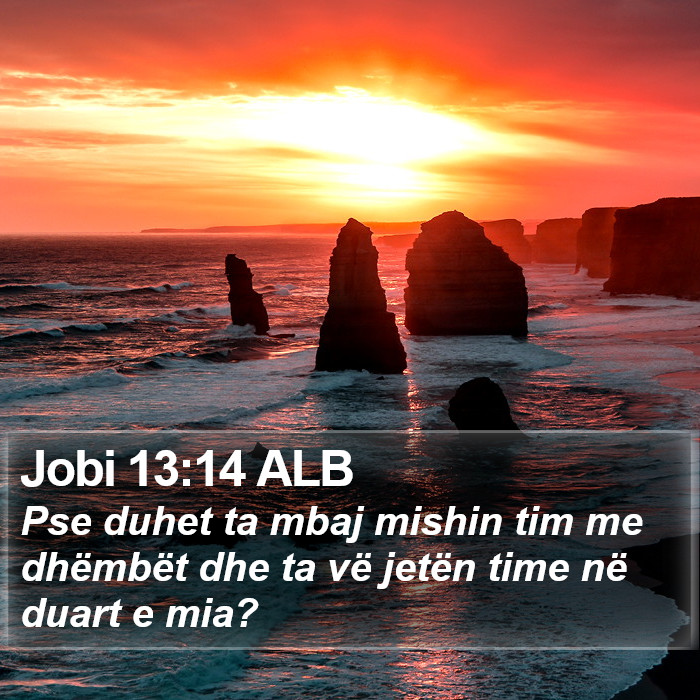 Jobi 13:14 ALB Bible Study