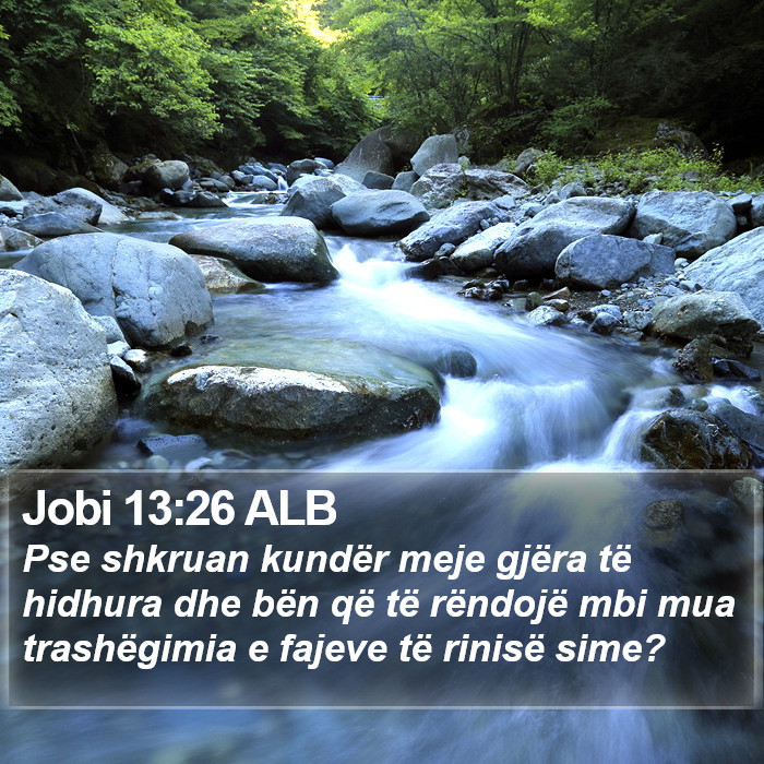 Jobi 13:26 ALB Bible Study