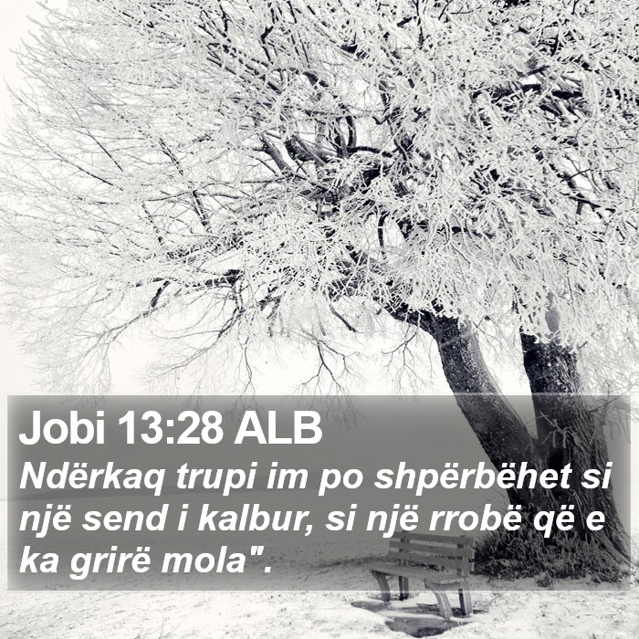 Jobi 13:28 ALB Bible Study