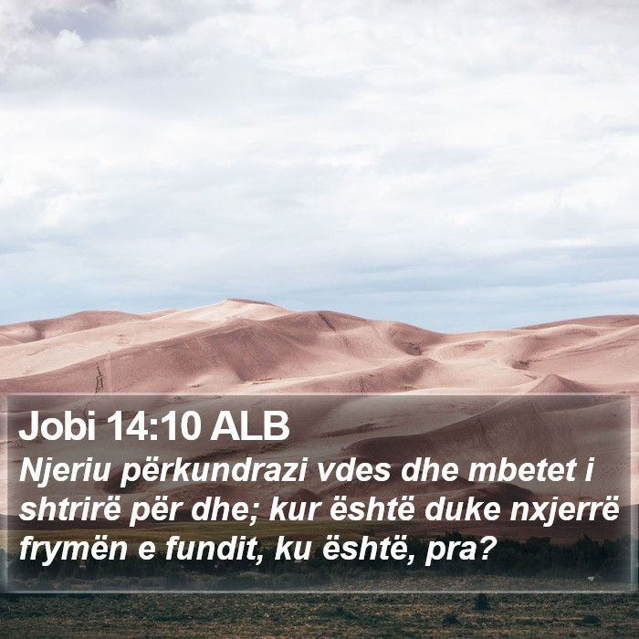 Jobi 14:10 ALB Bible Study