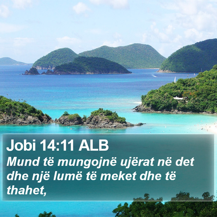 Jobi 14:11 ALB Bible Study