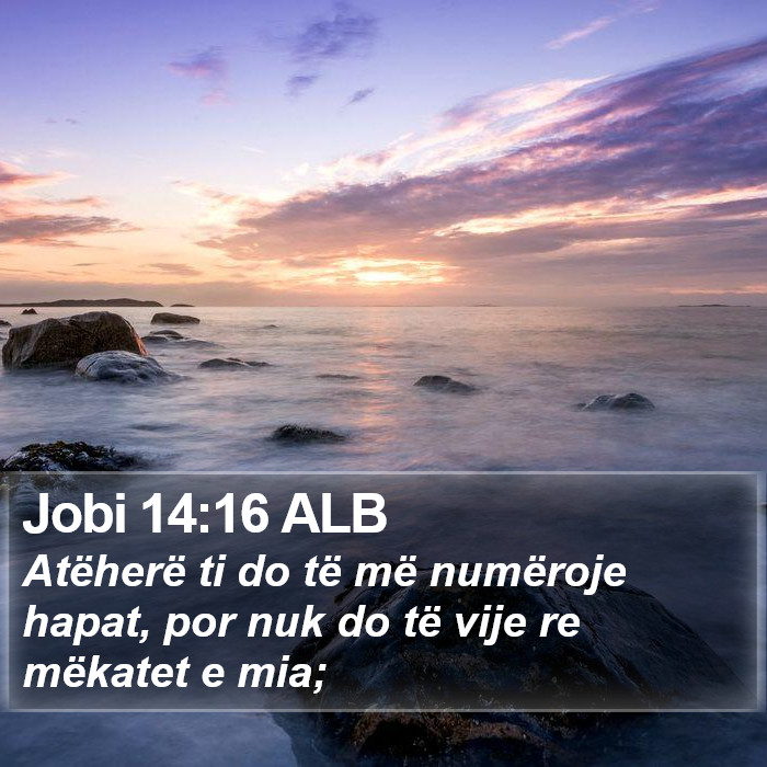 Jobi 14:16 ALB Bible Study