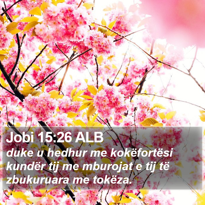 Jobi 15:26 ALB Bible Study