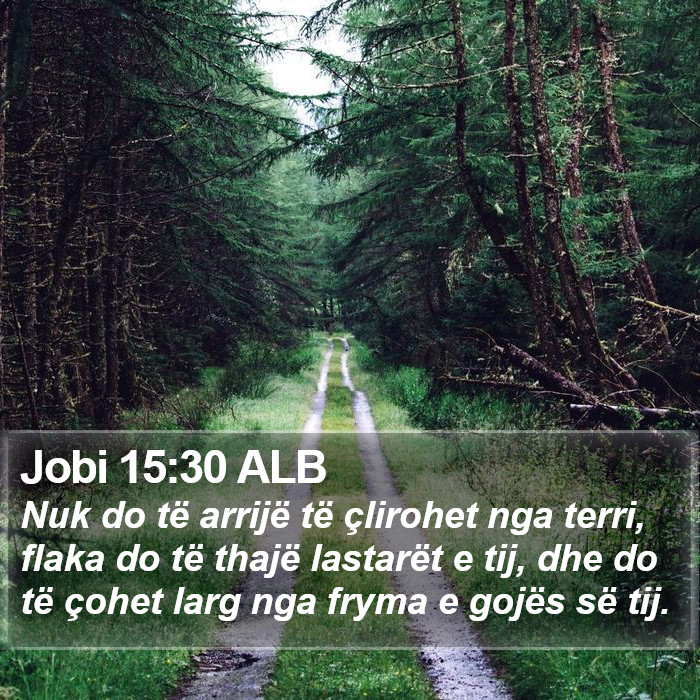 Jobi 15:30 ALB Bible Study
