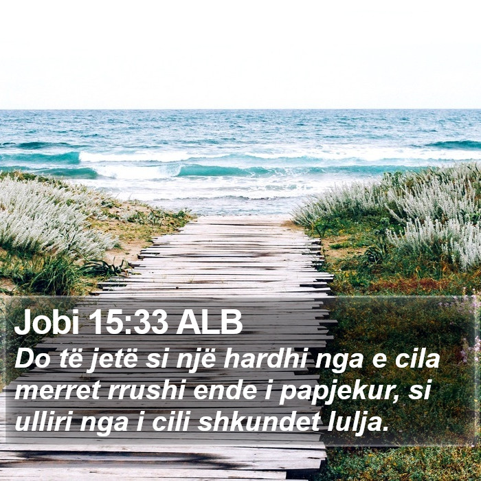 Jobi 15:33 ALB Bible Study