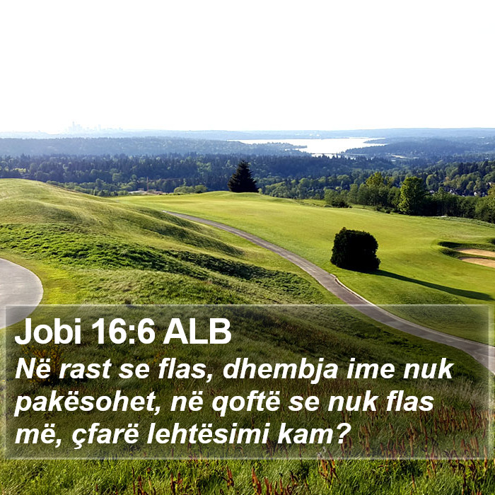 Jobi 16:6 ALB Bible Study