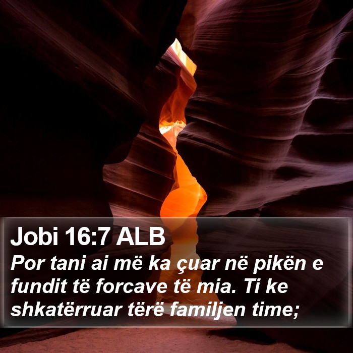 Jobi 16:7 ALB Bible Study