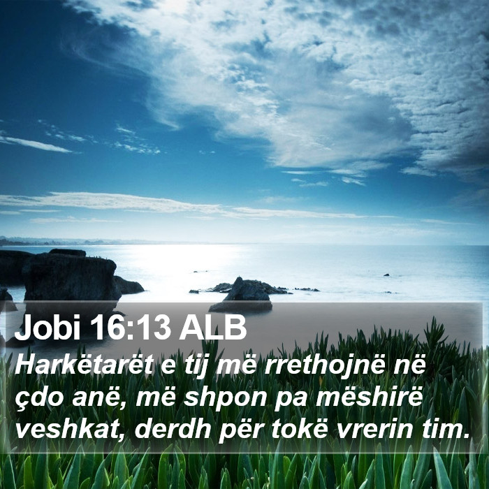 Jobi 16:13 ALB Bible Study