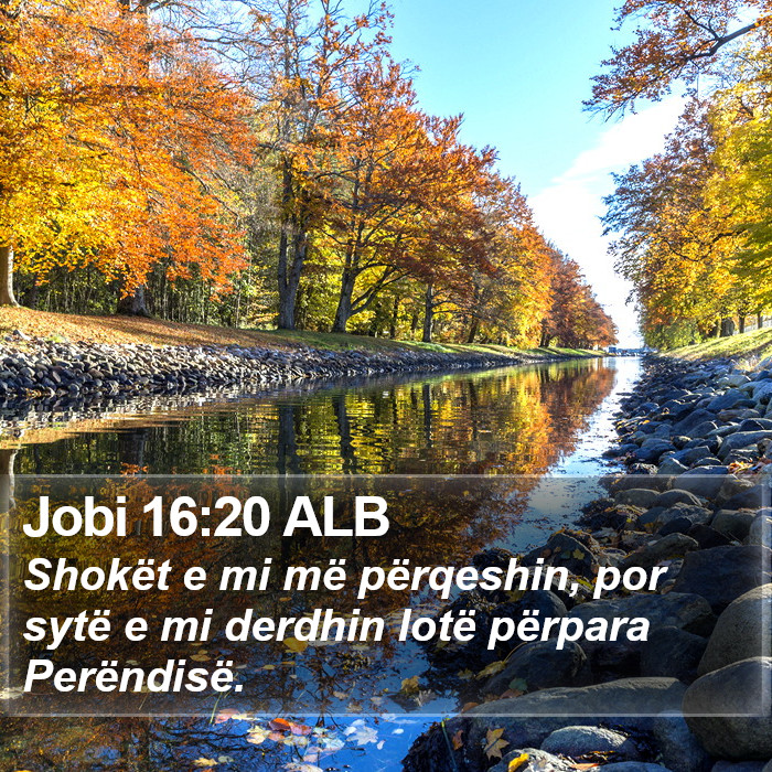 Jobi 16:20 ALB Bible Study