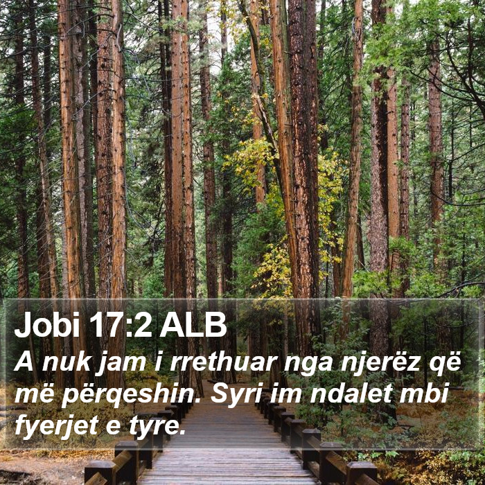 Jobi 17:2 ALB Bible Study