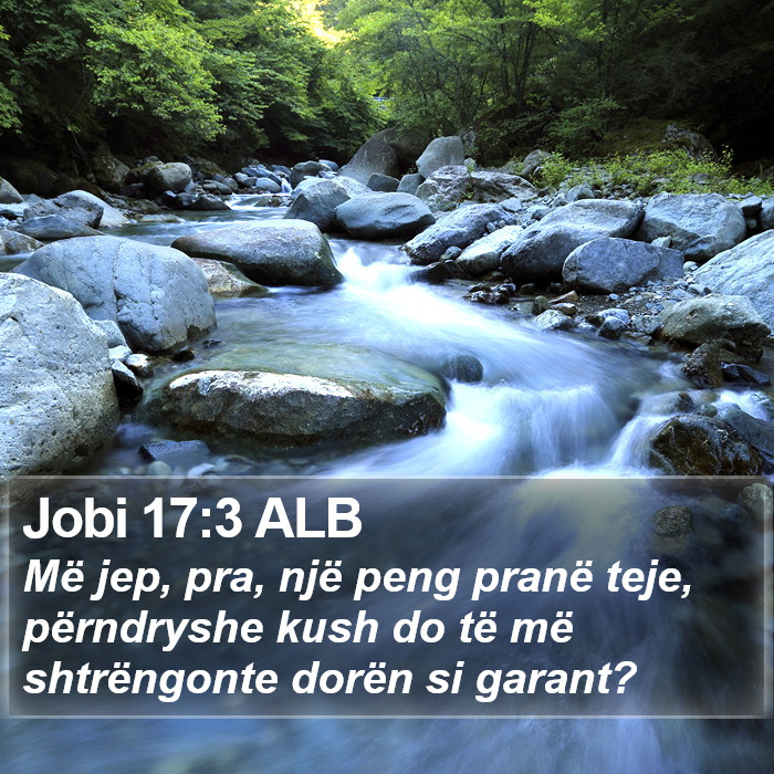 Jobi 17:3 ALB Bible Study