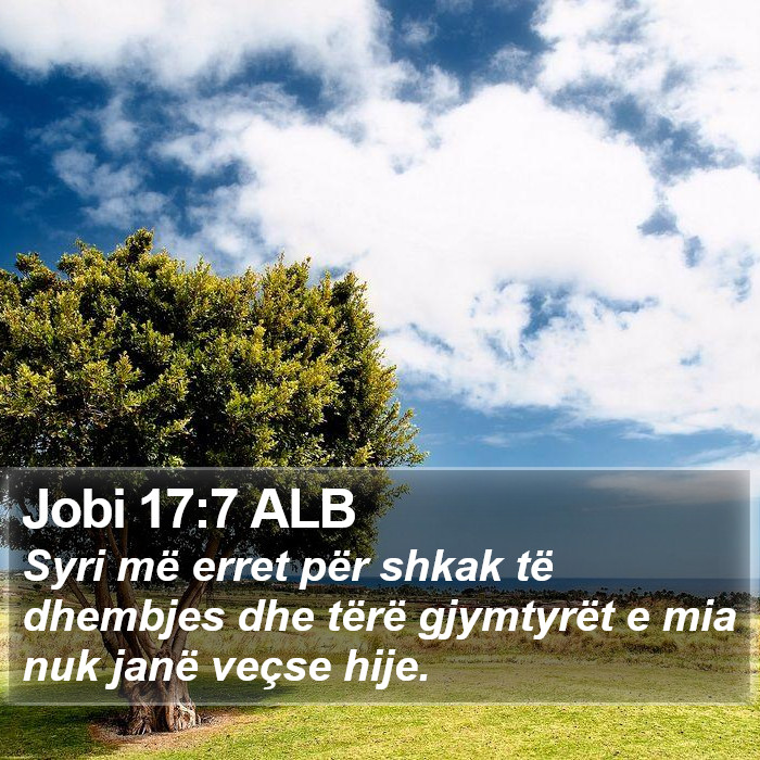 Jobi 17:7 ALB Bible Study