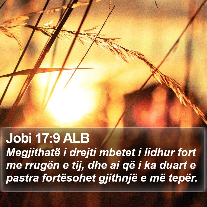 Jobi 17:9 ALB Bible Study