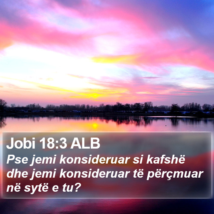 Jobi 18:3 ALB Bible Study