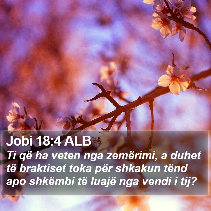 Jobi 18:4 ALB Bible Study