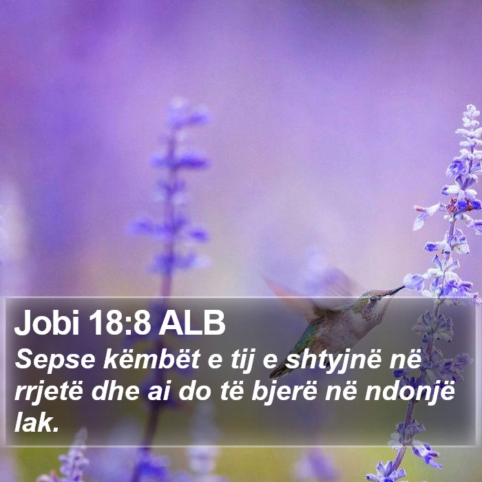 Jobi 18:8 ALB Bible Study