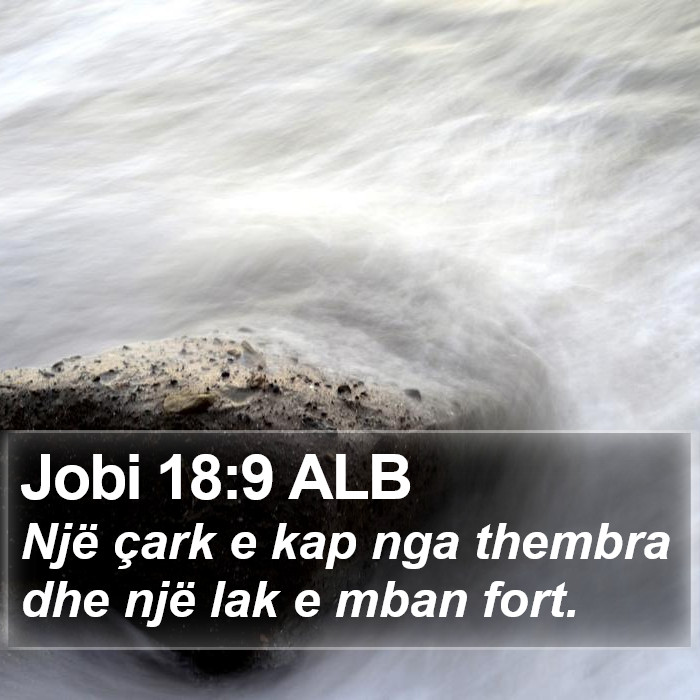 Jobi 18:9 ALB Bible Study