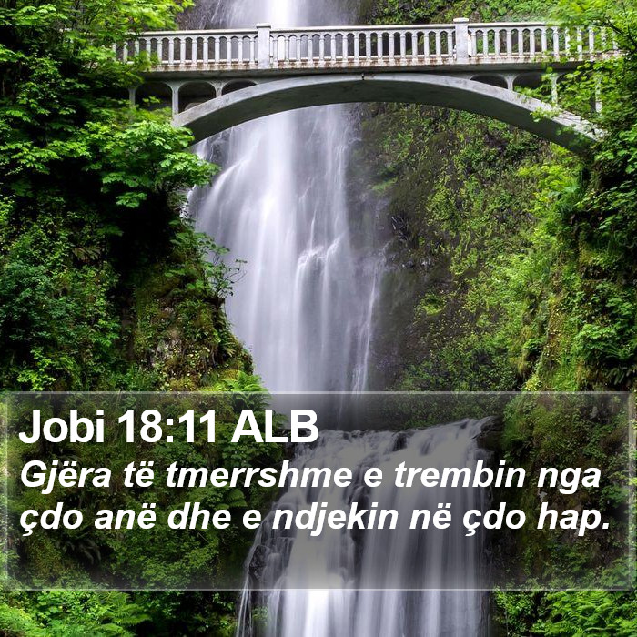 Jobi 18:11 ALB Bible Study