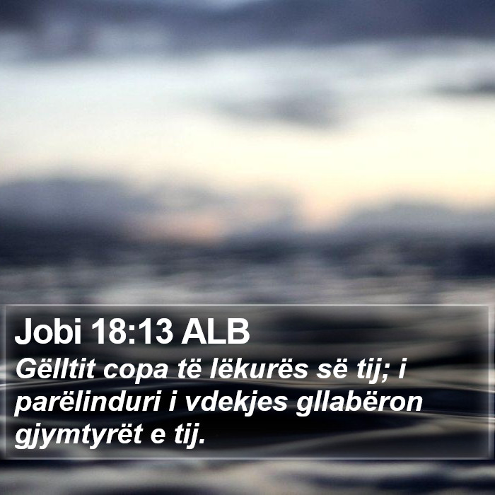 Jobi 18:13 ALB Bible Study