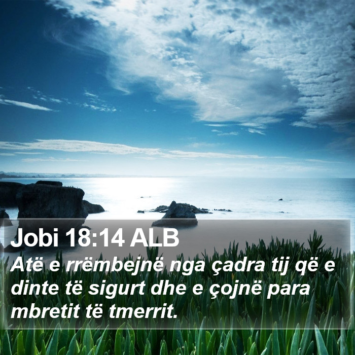 Jobi 18:14 ALB Bible Study