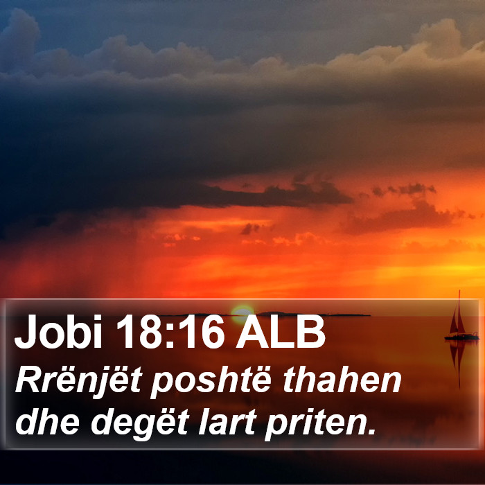 Jobi 18:16 ALB Bible Study