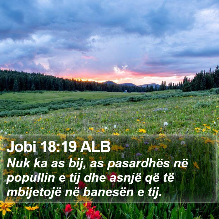 Jobi 18:19 ALB Bible Study