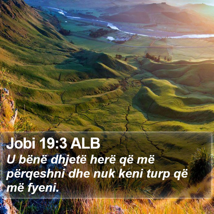 Jobi 19:3 ALB Bible Study