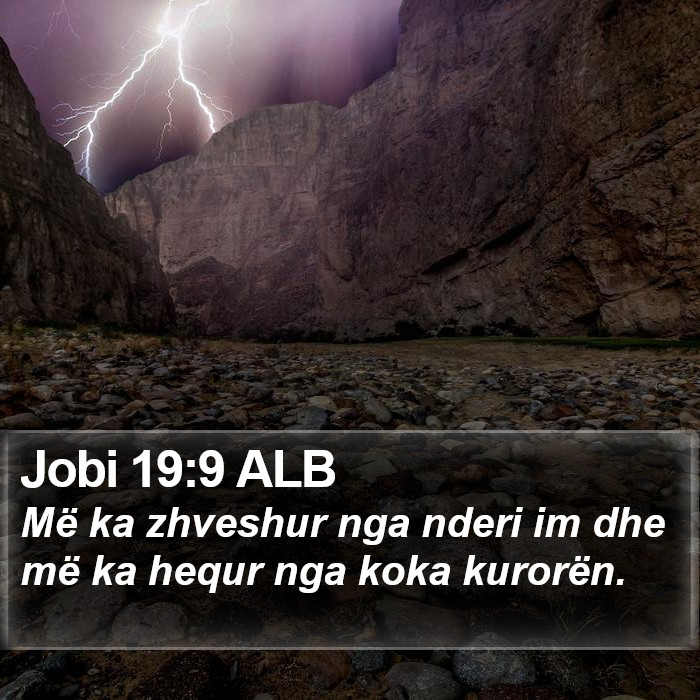 Jobi 19:9 ALB Bible Study