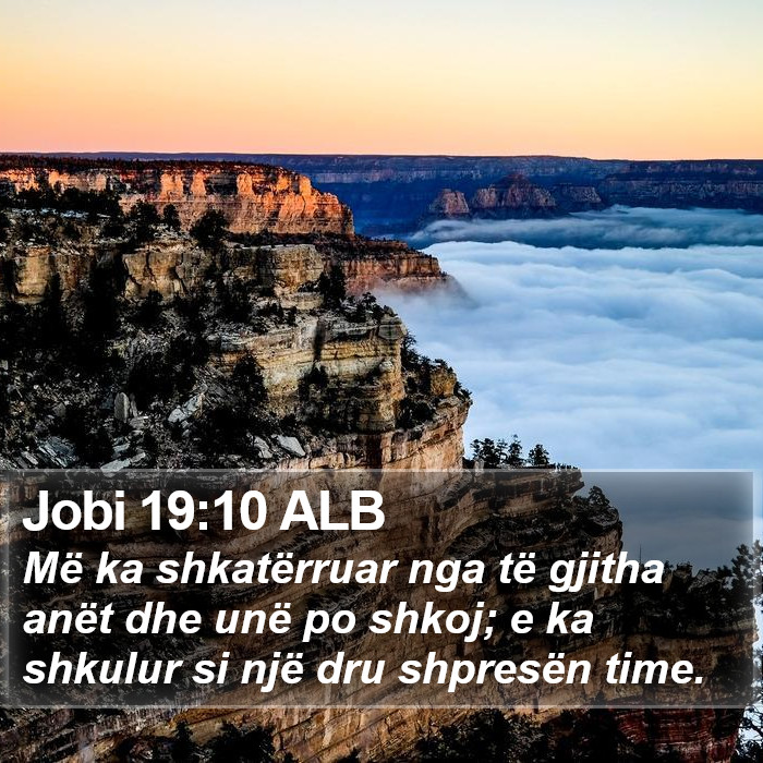 Jobi 19:10 ALB Bible Study