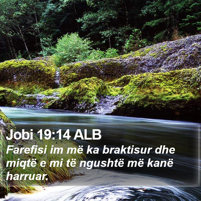 Jobi 19:14 ALB Bible Study