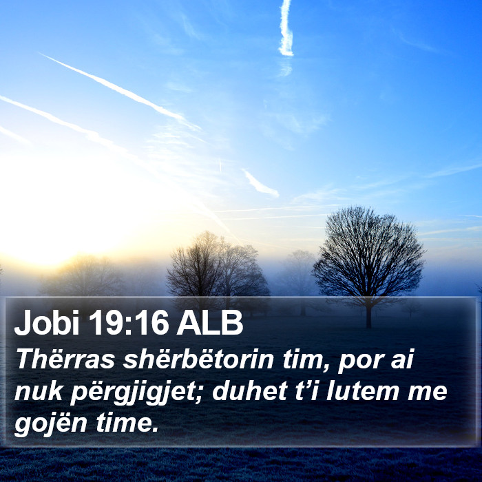 Jobi 19:16 ALB Bible Study