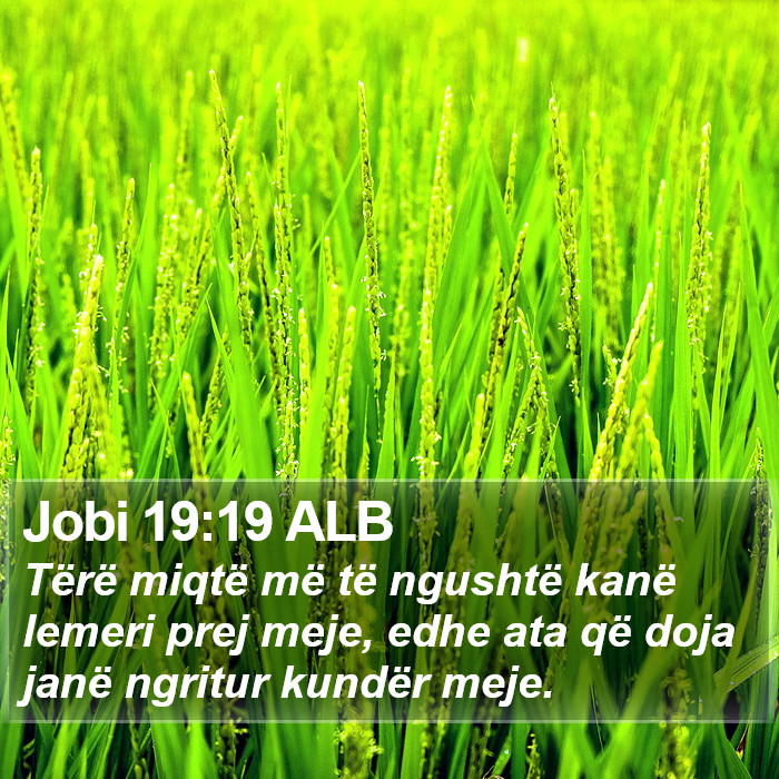Jobi 19:19 ALB Bible Study