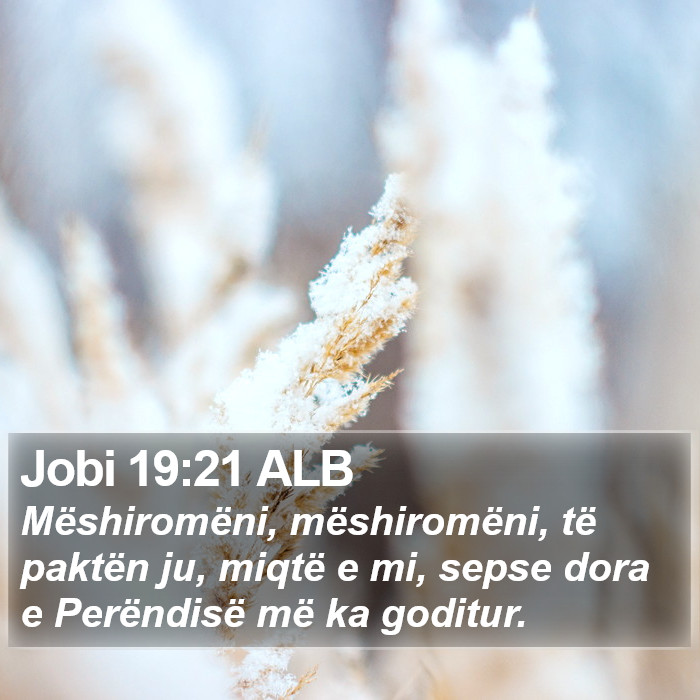 Jobi 19:21 ALB Bible Study