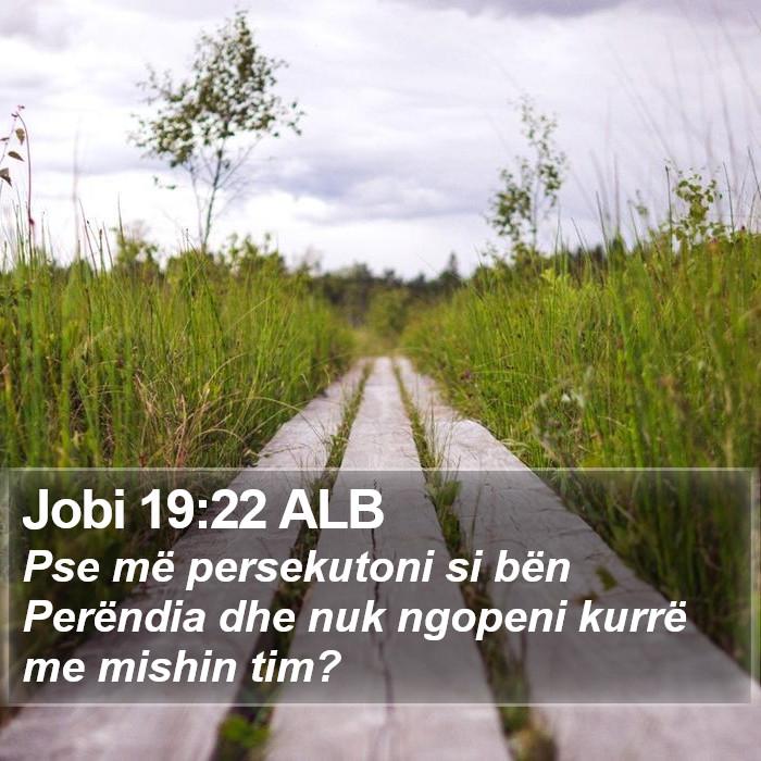 Jobi 19:22 ALB Bible Study
