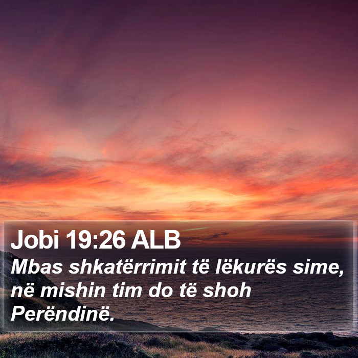 Jobi 19:26 ALB Bible Study