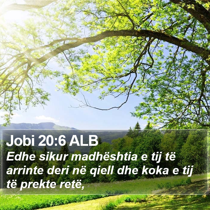 Jobi 20:6 ALB Bible Study