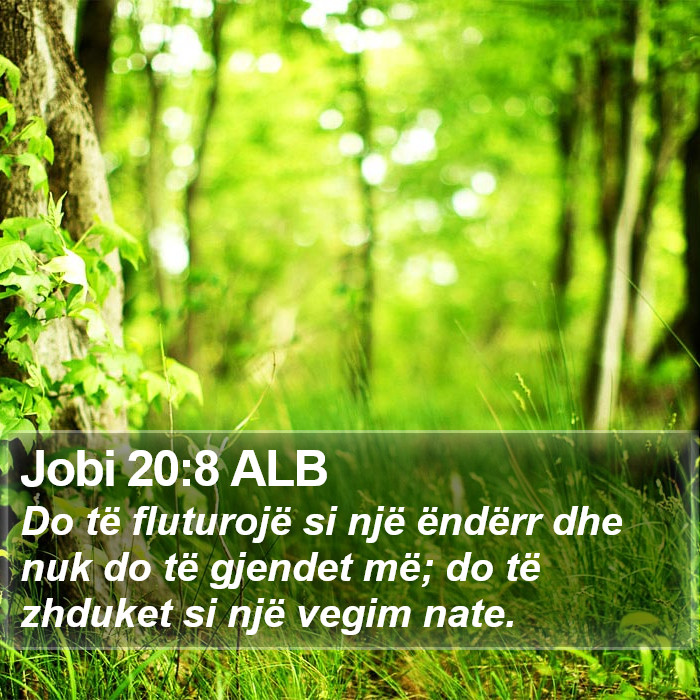 Jobi 20:8 ALB Bible Study