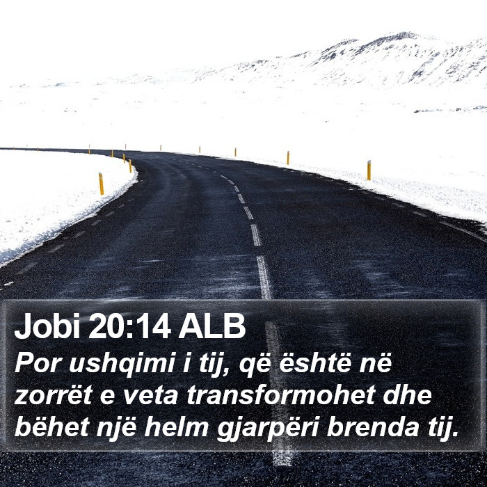 Jobi 20:14 ALB Bible Study