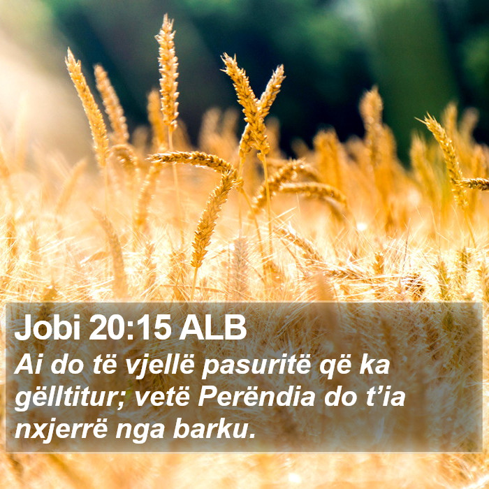 Jobi 20:15 ALB Bible Study